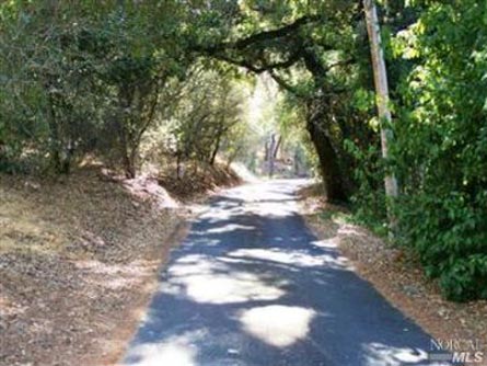 Napa Valley Winery, Vineyard, and Brand - St. Helena,California - Wine Real Estate