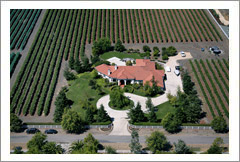 VineSmart -  San Luis Obispo - Edna Valley Pinot Noir Vineyard Estate For Sale - Wine Real Estate