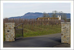 VineSmart -  McMinnville, Oregon - Commercial/Agricultural Property with Winery Potential For Sale - Wine Real Estate