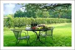 Winery, Vineyard, Bed and Breakfast - Chester County, PA - For Sale