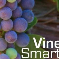 vinesmart