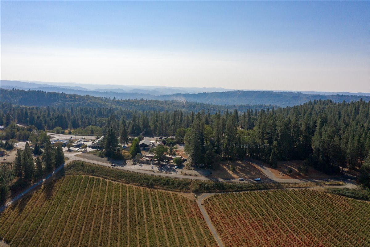 apple hill vineyards
