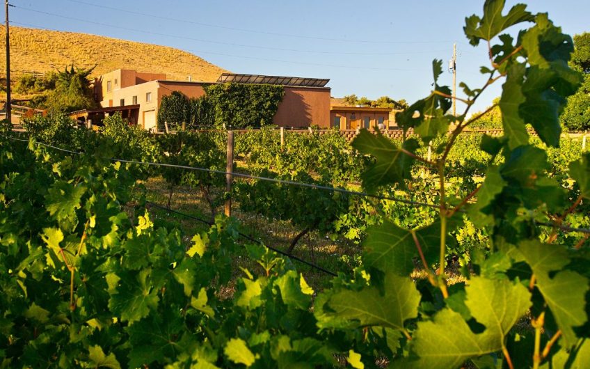 VineSmart Vineyards For Sale Wineries For Sale Wine Real Estate