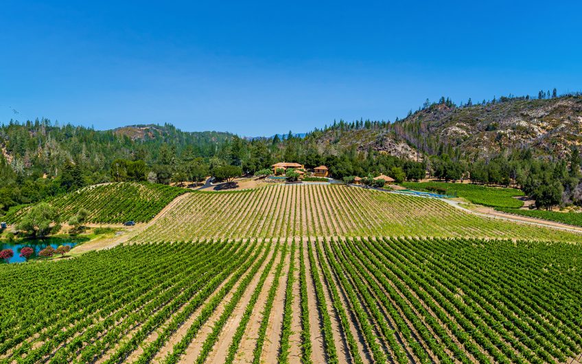 Sonoma County Vineyards & Wineries For Sale - VineSmart