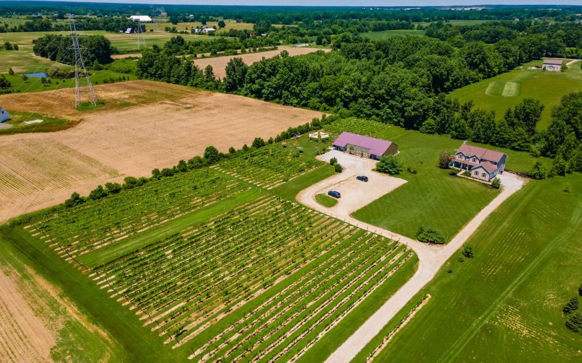 Ohio Vineyards & Wineries For Sale VineSmart