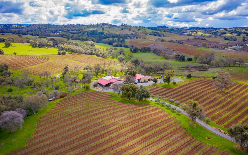 Northern California Vineyards & Wineries For Sale VineSmart