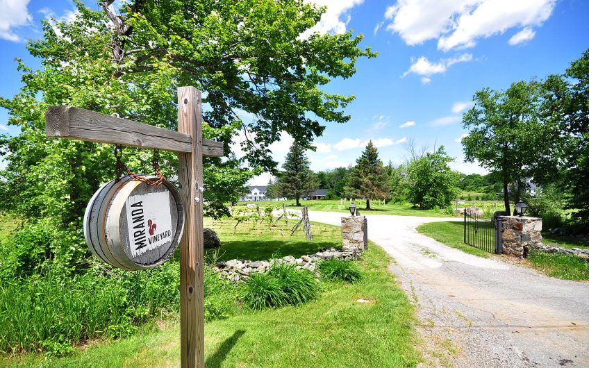 Connecticut Vineyards & Wineries For Sale VineSmart