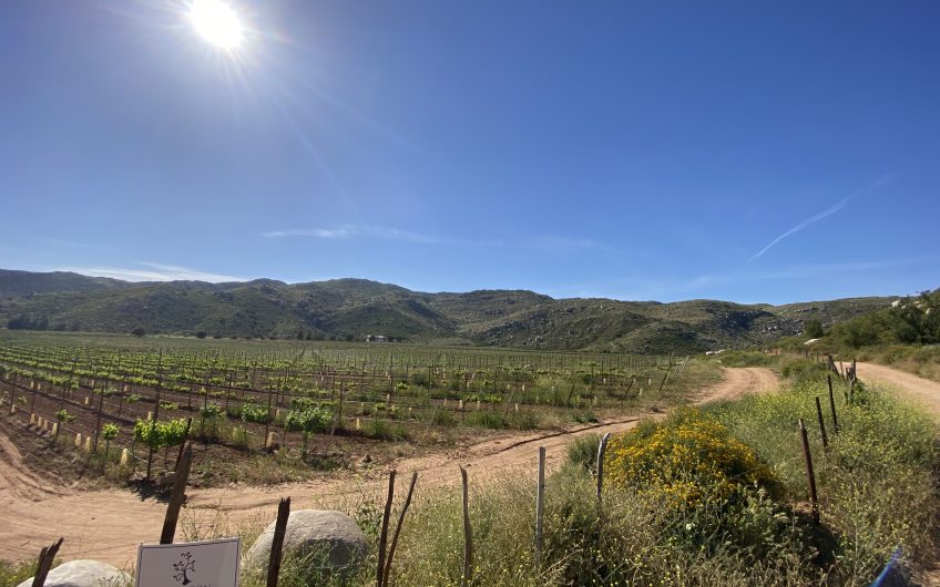 VineSmart Vineyards For Sale Wineries For Sale Wine Real Estate