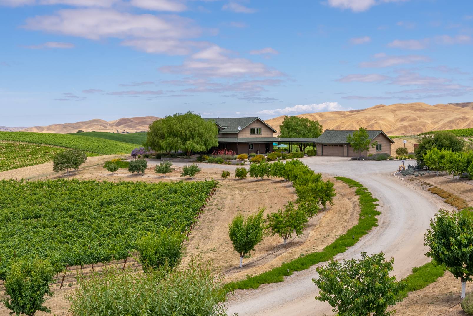 Paso Robles AVA Winery & Vineyard For Sale - VineSmart