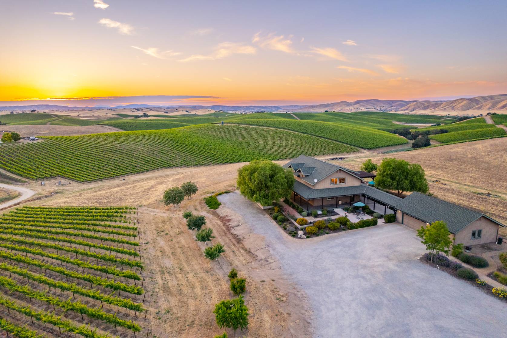 Paso Robles AVA Winery & Vineyard For Sale - VineSmart