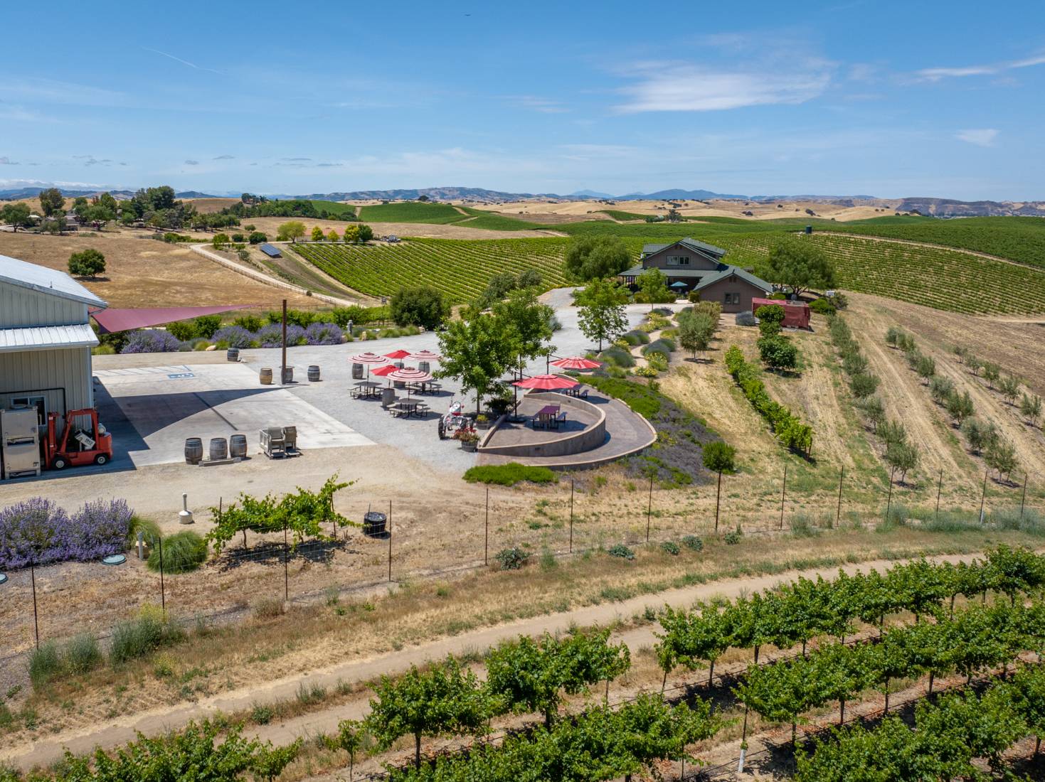 Paso Robles AVA Winery & Vineyard For Sale - VineSmart