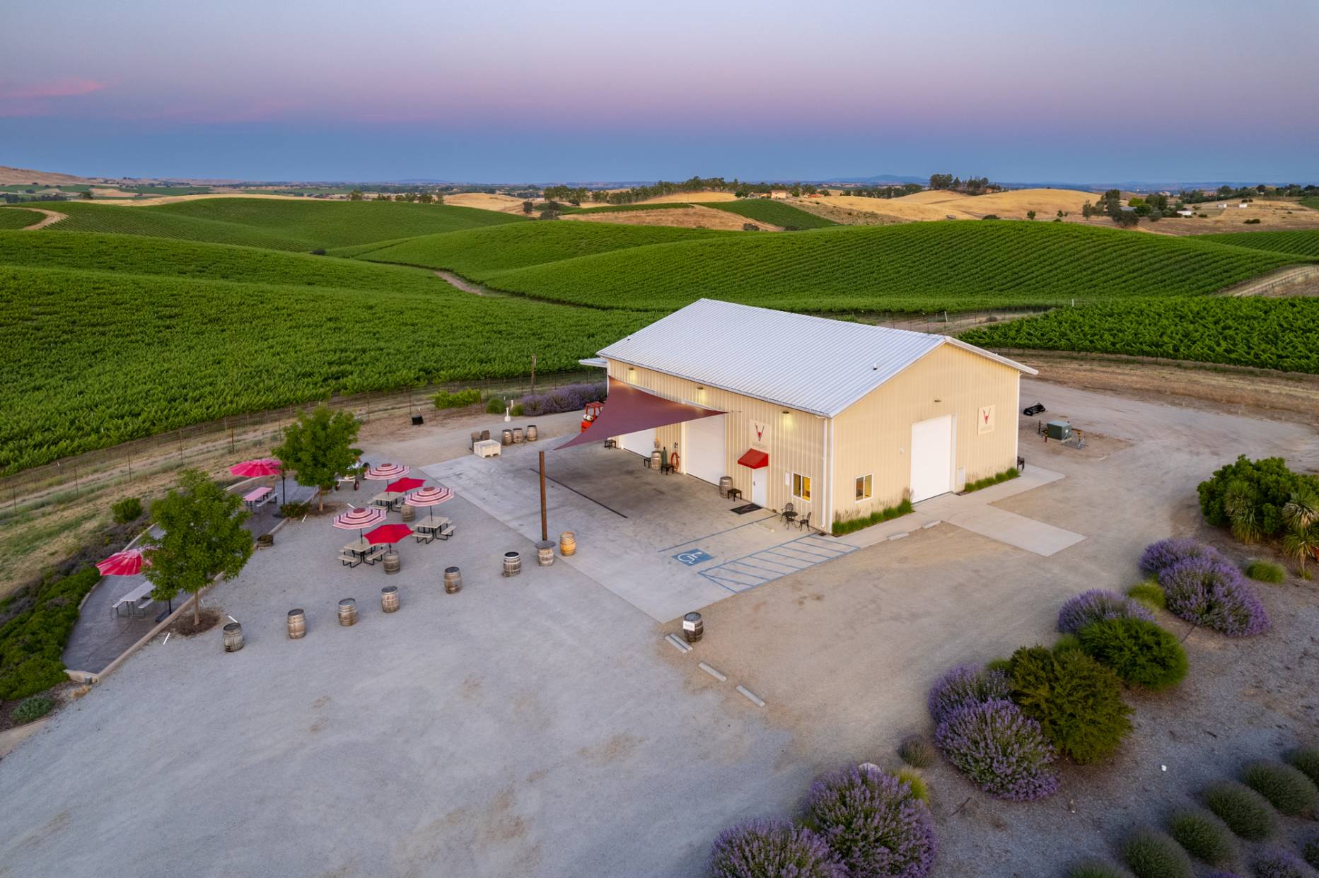 Paso Robles AVA Winery & Vineyard For Sale - VineSmart