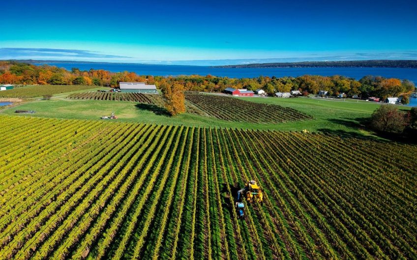 VineSmart Vineyards For Sale Wineries For Sale Wine Real Estate