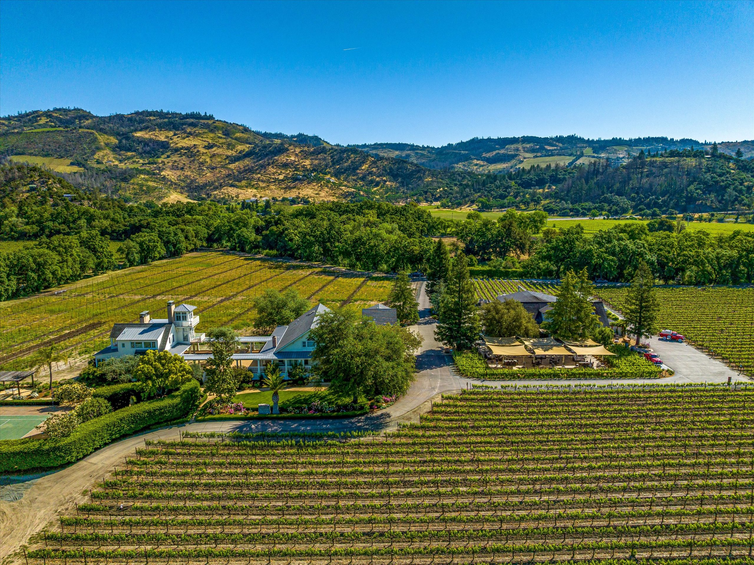 St. Helena Vineyard and Winery Estate - VineSmart